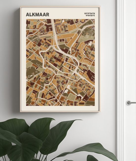 Plattegrond poster Licht Alkmaar mozaiek stl 03 Mockup muur plant lijst 04 | Funky Fellow