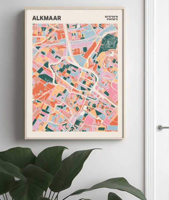 Plattegrond poster Licht Alkmaar mozaiek stl 04 Mockup muur plant lijst 04 | Funky Fellow