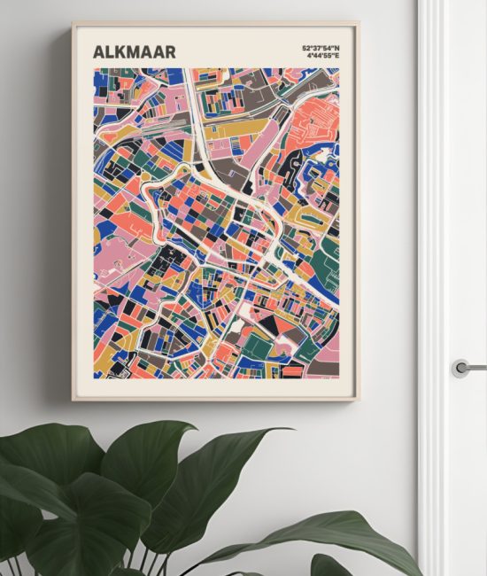 Plattegrond poster Licht Alkmaar mozaiek stl 05 Mockup muur plant lijst 04 | Funky Fellow