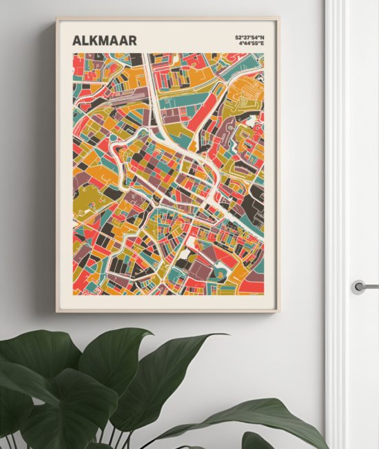 Plattegrond poster Licht Alkmaar mozaiek stl 07 Mockup muur plant lijst 04 | Funky Fellow
