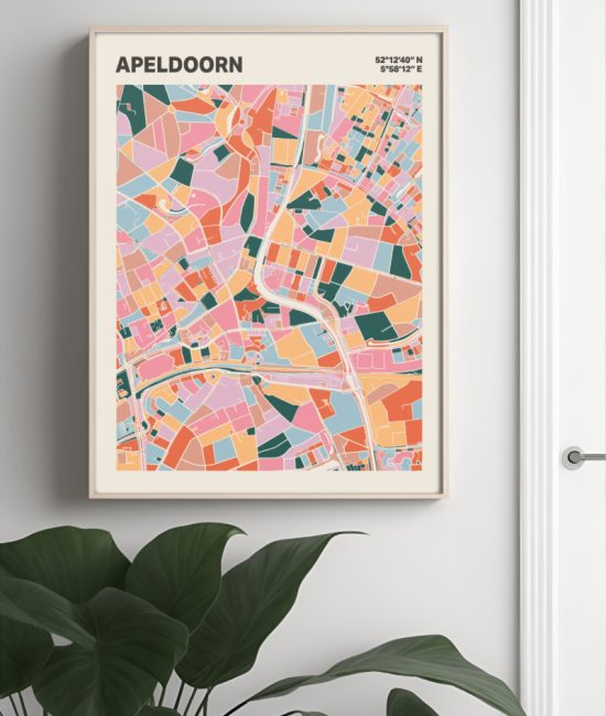 Plattegrond poster Licht Apeldoorn mozaiek stl 04 Mockup muur plant lijst 04 | Funky Fellow