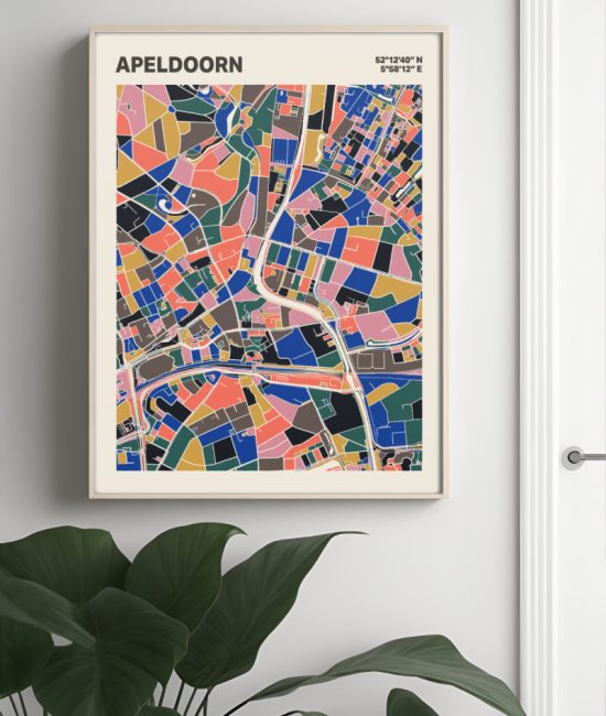 Plattegrond poster Licht Apeldoorn mozaiek stl 05 Mockup muur plant lijst 04 | Funky Fellow