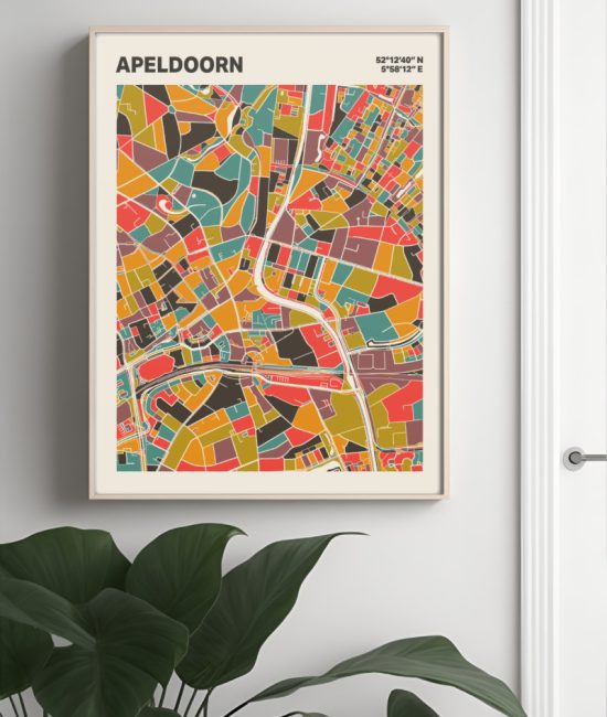 Plattegrond poster Licht Apeldoorn mozaiek stl 07 Mockup muur plant lijst 04 | Funky Fellow