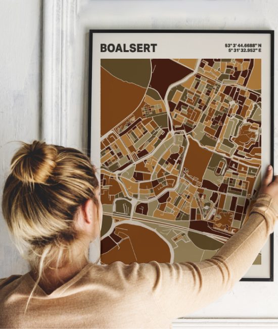 Plattegrond poster Licht Boalsert mozaiek stl 03 1 | Funky Fellow