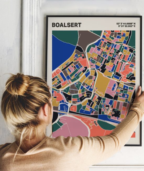 Plattegrond poster Licht Boalsert mozaiek stl 05 1 | Funky Fellow