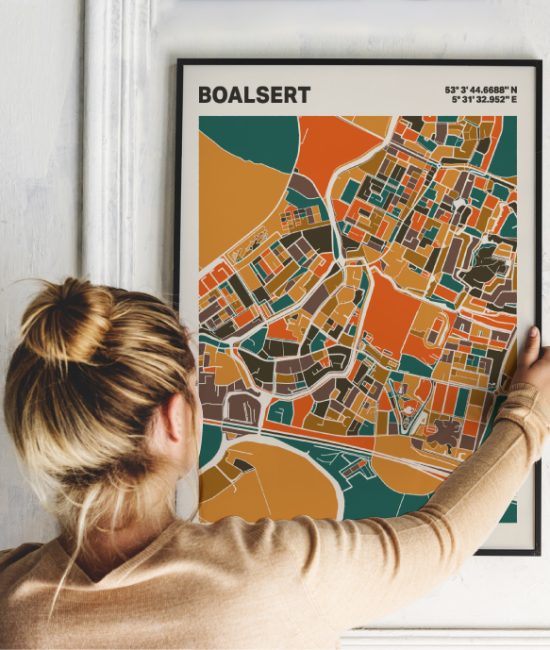Plattegrond poster Licht Boalsert mozaiek stl 06 1 | Funky Fellow