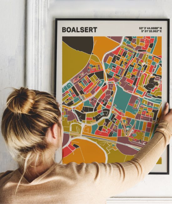 Plattegrond poster Licht Boalsert mozaiek stl 07 1 | Funky Fellow
