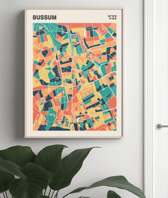 Plattegrond poster Licht Bussum mozaiek stl 01 Mockup muur plant lijst 04 | Funky Fellow