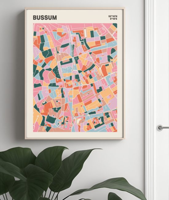 Plattegrond poster Licht Bussum mozaiek stl 04 Mockup muur plant lijst 04 | Funky Fellow