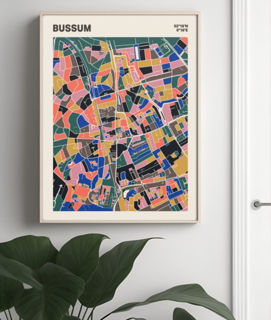 Plattegrond poster Licht Bussum mozaiek stl 05 Mockup muur plant lijst 04 | Funky Fellow