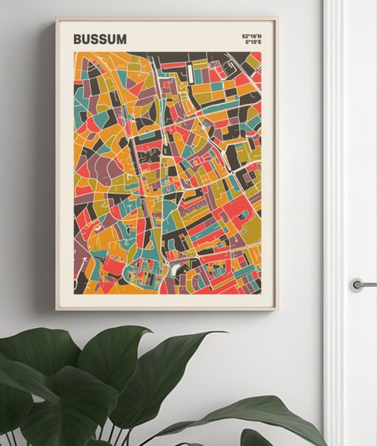 Plattegrond poster Licht Bussum mozaiek stl 07 Mockup muur plant lijst 04 | Funky Fellow