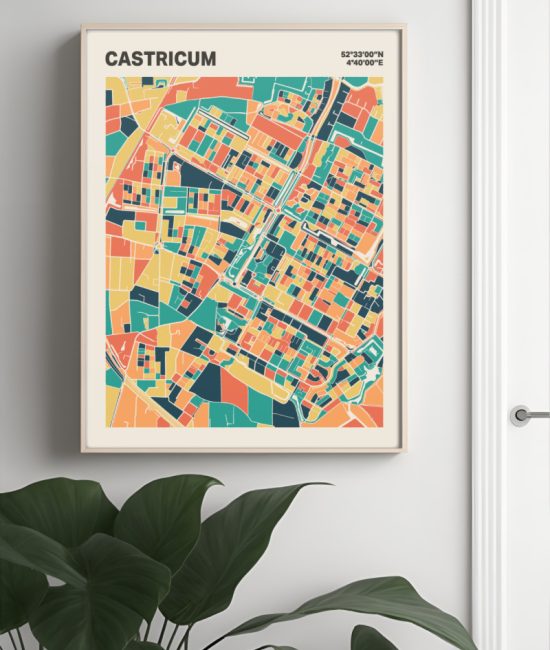 Plattegrond poster Licht Castricum mozaiek stl 01 Mockup muur plant lijst 04 | Funky Fellow