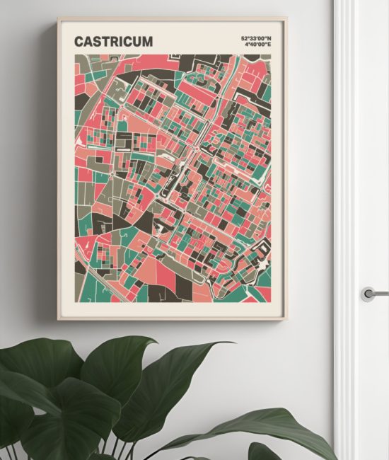 Plattegrond poster Licht Castricum mozaiek stl 02 Mockup muur plant lijst 04 | Funky Fellow