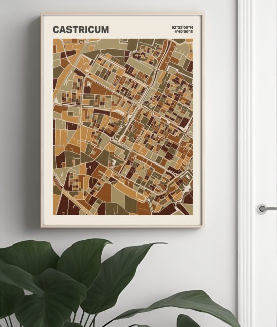 Plattegrond poster Licht Castricum mozaiek stl 03 Mockup muur plant lijst 04 | Funky Fellow