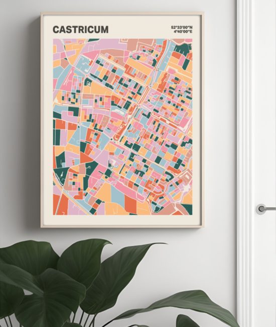 Plattegrond poster Licht Castricum mozaiek stl 04 Mockup muur plant lijst 04 | Funky Fellow