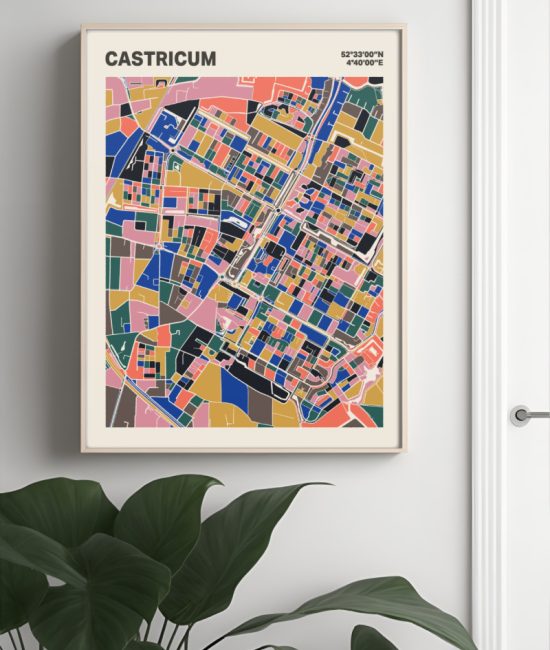 Plattegrond poster Licht Castricum mozaiek stl 05 Mockup muur plant lijst 04 | Funky Fellow