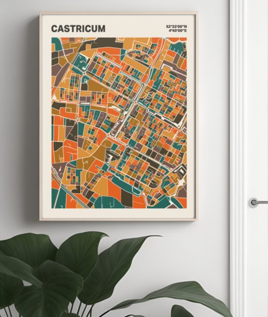 Plattegrond poster Licht Castricum mozaiek stl 06 Mockup muur plant lijst 04 | Funky Fellow