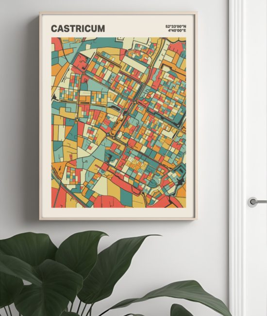 Plattegrond poster Licht Castricum mozaiek stl 08 Mockup muur plant lijst 04 | Funky Fellow