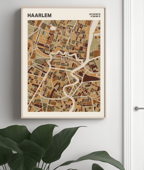 Plattegrond poster Licht Haarlem mozaiek stl 03 Mockup muur plant lijst 04 | Funky Fellow