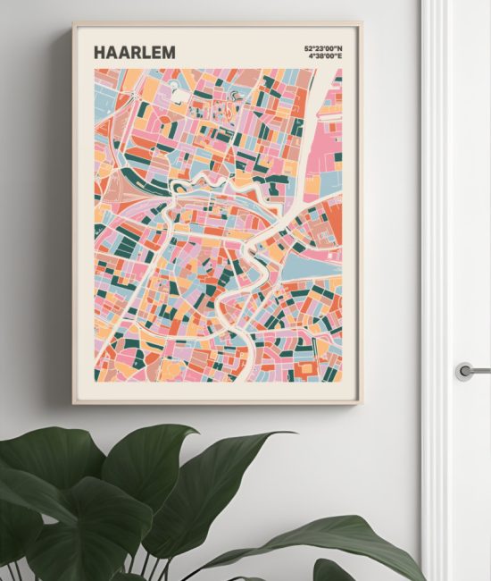 Plattegrond poster Licht Haarlem mozaiek stl 04 Mockup muur plant lijst 04 | Funky Fellow