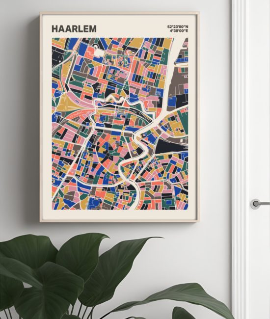 Plattegrond poster Licht Haarlem mozaiek stl 05 Mockup muur plant lijst 04 | Funky Fellow