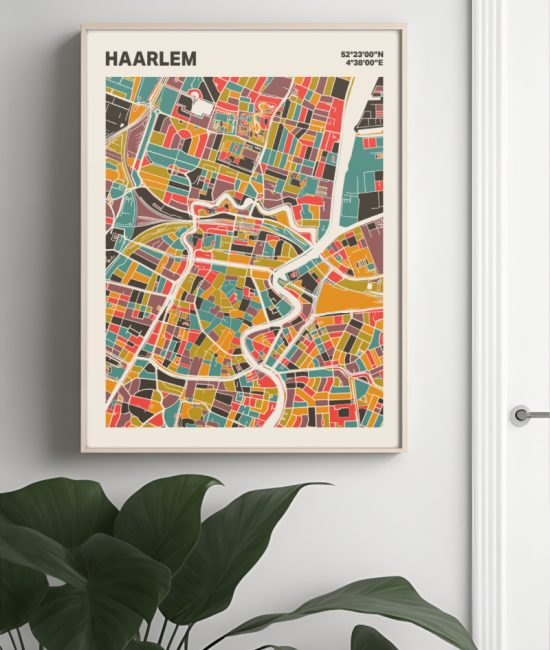 Plattegrond poster Licht Haarlem mozaiek stl 07 Mockup muur plant lijst 04 | Funky Fellow