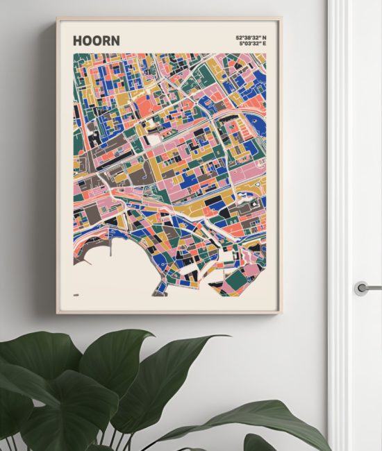 Plattegrond poster Licht Hoorn mozaiek stl 05 Mockup muur plant lijst 04 | Funky Fellow