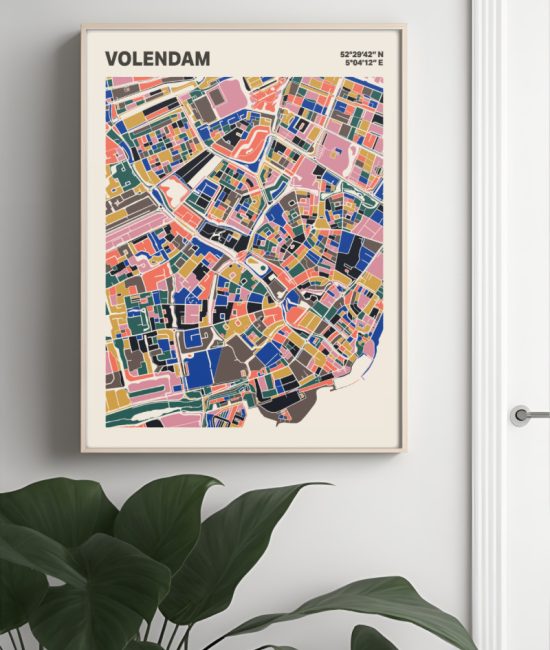 Plattegrond poster Licht Volendam mozaiek stl 05 Mockup muur plant lijst 04 | Funky Fellow