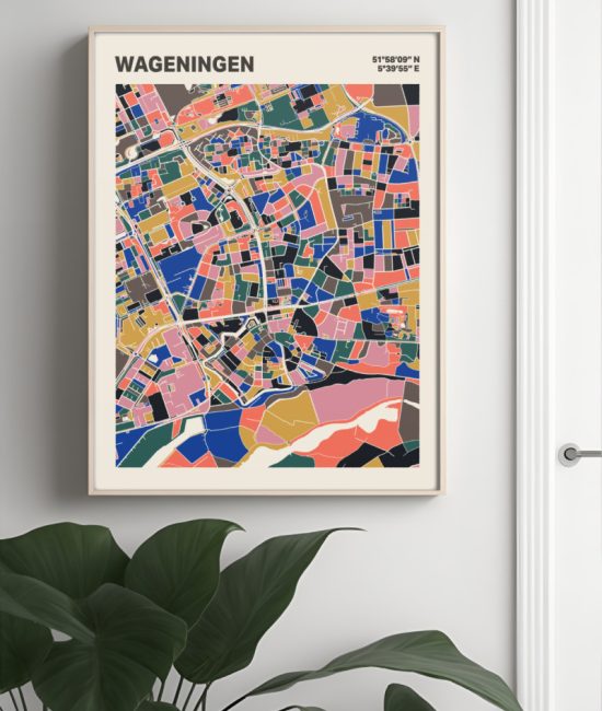 Plattegrond poster Licht Wageningen mozaiek stl 05 Mockup muur plant lijst 04 | Funky Fellow