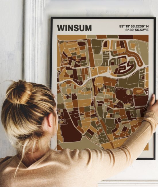 Plattegrond poster Licht Winsum mozaiek stl 03 1 | Funky Fellow