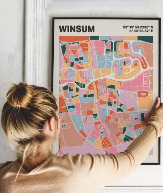 Plattegrond poster Licht Winsum mozaiek stl 04 1 | Funky Fellow