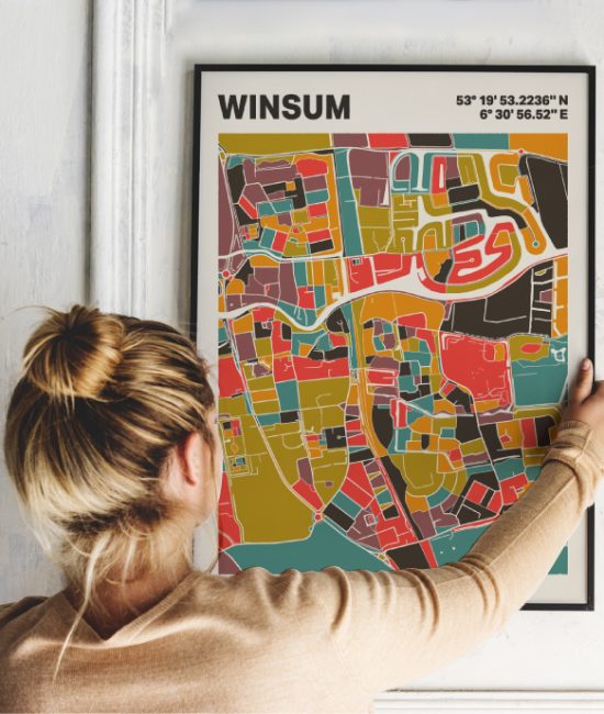 Plattegrond poster Licht Winsum mozaiek stl 07 1 | Funky Fellow