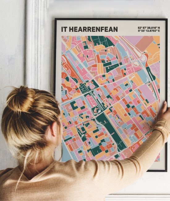 Plattegrond poster Licht it Hearrenfean mozaiek stl 04 1 | Funky Fellow